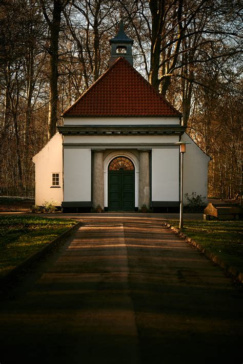 de hjerneløses kirkegård|Reportage